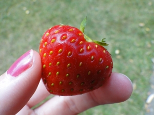 1402503_heart_shaped_strawberry